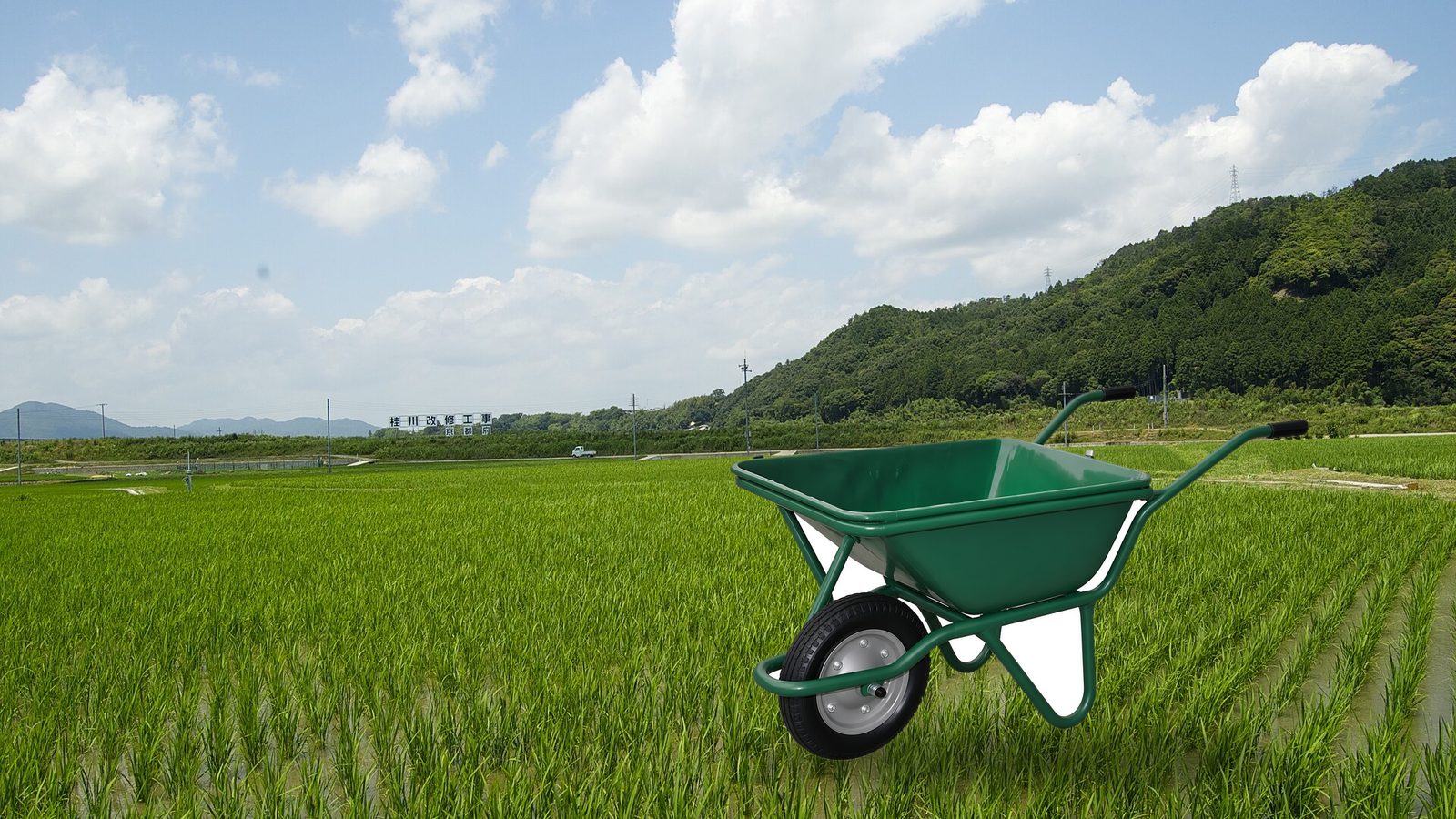 青田の中に置かれた緑色の一輪車